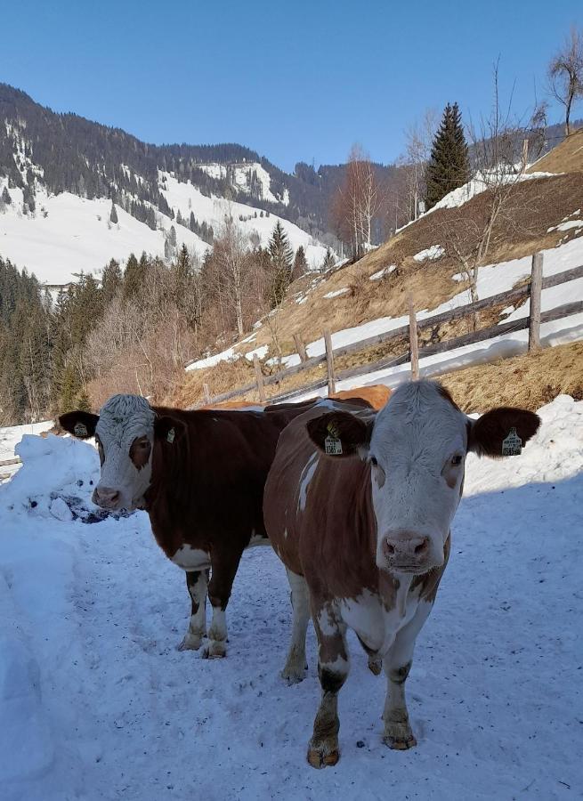 Almhof Grub Villa Wagrain Kültér fotó